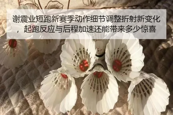 谢震业短跑新赛季动作细节调整折射新变化，起跑反应与后程加速还能带来多少惊喜